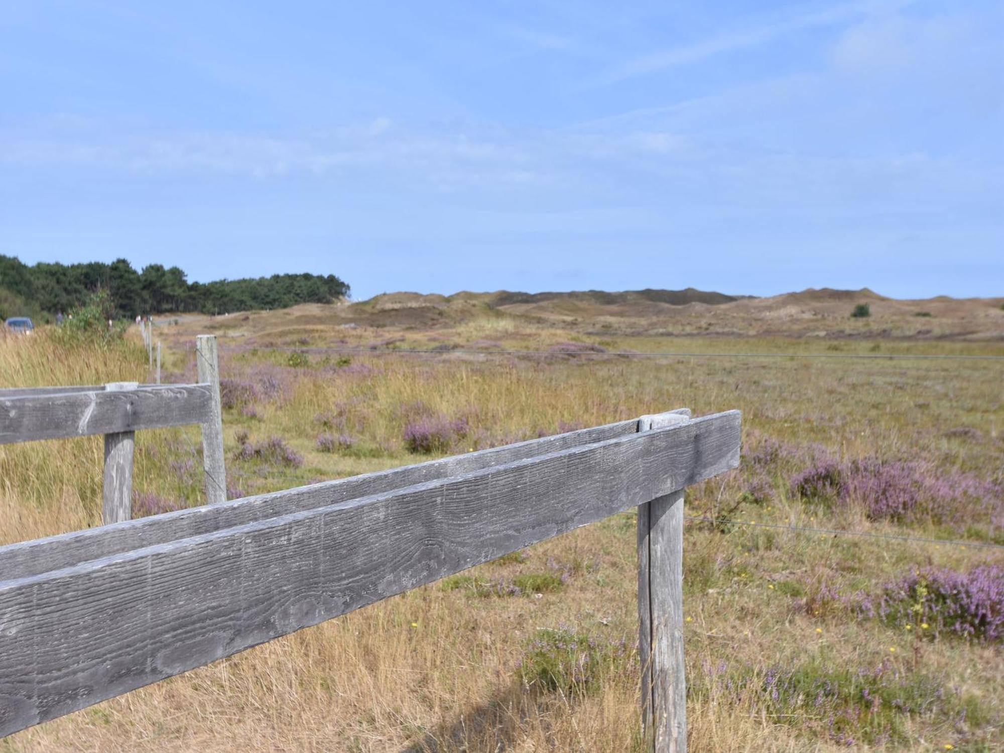 Lovely Holiday Home In Texel Near Sea Oost  Exterior photo